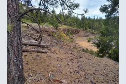 0 Map&taxlot 332E09 600, Hwy 62, Prospect, OR 97536 - Photo 5