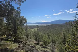 5520 Andrews Rd, Dorris, CA 96023 - Photo 5