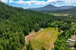1001 Indian Creek Rd, Selma, OR 97538 - Photo 45