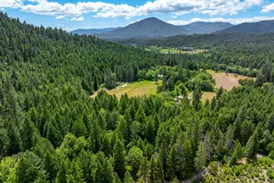 1001 Indian Creek Rd, Selma, OR 97538 - Photo 49