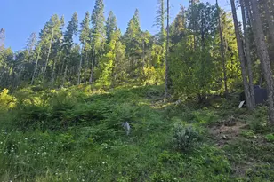 261 Fay Ln, Wolf Creek, OR 97497 - Photo 51