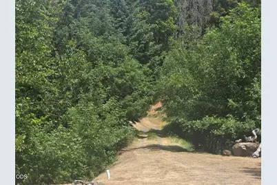 261 Fay Lane, Wolf Creek, OR 97497 - Photo 33