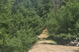 261 Fay Ln, Wolf Creek, OR 97497 - Photo 33