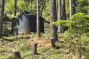 261 Fay Ln, Wolf Creek, OR 97497 - Photo 11