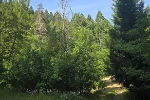 261 Fay Ln, Wolf Creek, OR 97497 - Photo 39
