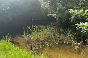 261 Fay Ln, Wolf Creek, OR 97497 - Photo 15