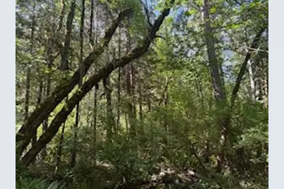 261 Fay Lane, Wolf Creek, OR 97497 - Photo 21