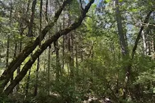 261 Fay Ln, Wolf Creek, OR 97497 - Photo 21