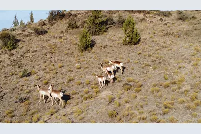 33817 Gage Road, Mitchell, OR 97750 - Photo 49