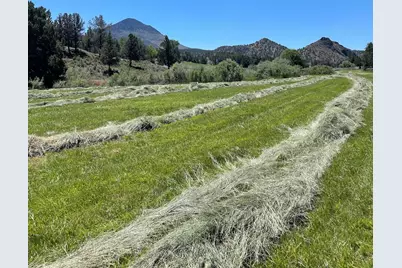 33817 Gage Road, Mitchell, OR 97750 - Photo 43