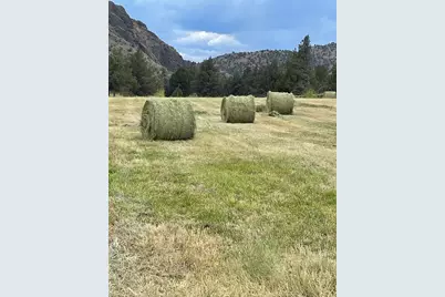 33817 Gage Road, Mitchell, OR 97750 - Photo 45