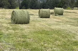 33817 Gage Rd, Mitchell, OR 97750 - Photo 45