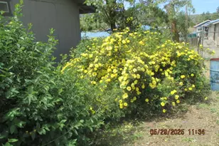 1424 Pleasant Ave, Klamath Falls, OR 97601 - Photo 7