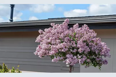 454 SE Manzanita Drive, Madras, OR 97741 - Photo 29