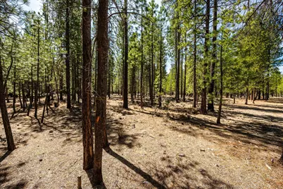 51861 Knobcone, La Pine, OR 97739 - Photo 3