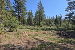 Meadow Lark Dr, Bonanza, OR 97623 - Photo 1