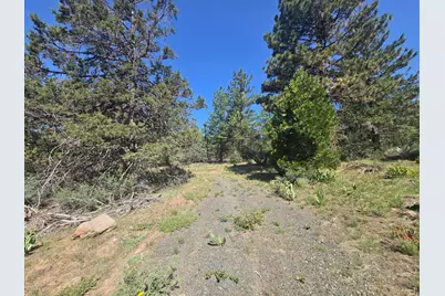Meadow Lark Drive #Lot 12, Bonanza, OR 97623 - Photo 3
