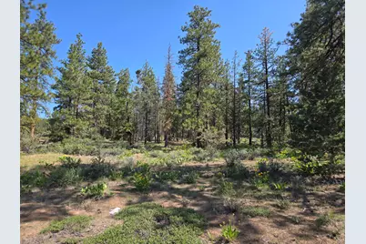 Meadow Lark Drive #Lot 12, Bonanza, OR 97623 - Photo 13