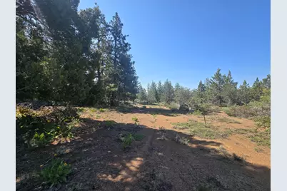 Meadow Lark Drive #Lot 12, Bonanza, OR 97623 - Photo 11