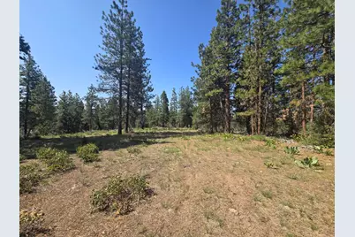 Meadow Lark Drive #Lot 12, Bonanza, OR 97623 - Photo 7
