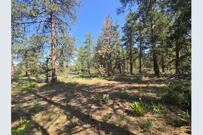 Meadow Lark Drive #Lot 12, Bonanza, OR 97623 - Photo 9