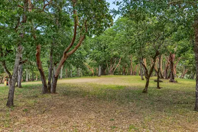 321 Pair A Dice Ranch Road, Jacksonville, OR 97530 - Photo 73