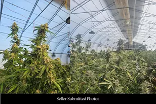 5619 Butte Falls Hwy, Eagle Point, OR 97524 - Photo 67