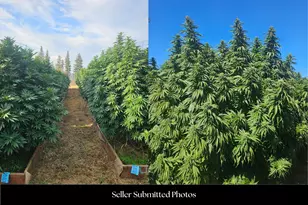 5619 Butte Falls Hwy, Eagle Point, OR 97524 - Photo 69