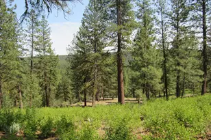 39051 Twin River Dr, Chiloquin, OR 97624 - Photo 15