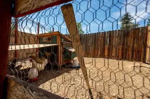 440 NE Chestnut St, Madras, OR 97741 - Photo 31