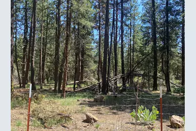 12543 Night Owl Drive, Bonanza, OR 97623 - Photo 21