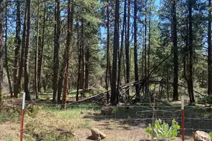 12543 Night Owl Dr, Bonanza, OR 97623 - Photo 21