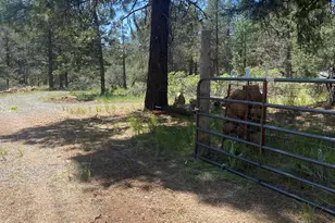 12543 Night Owl Dr, Bonanza, OR 97623 - Photo 9