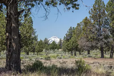 7344 SW Norman Drive, Culver, OR 97734 - Photo 33