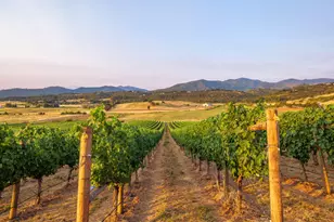 939 Carpenter Hill Rd, Medford, OR 97501 - Photo 15