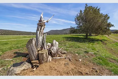 11409 Harpold Road, Klamath Falls, OR 97603 - Photo 41