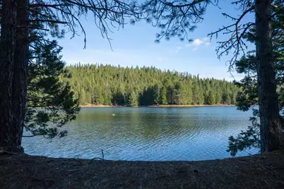 1240 Parsnip Loop, Butte Falls, OR 97522 - Photo 87