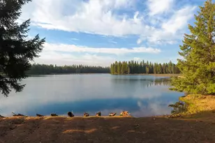 1240 Parsnip Loop, Butte Falls, OR 97522 - Photo 61