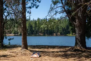 1240 Parsnip Loop, Butte Falls, OR 97522 - Photo 59