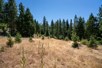 1240 Parsnip Loop, Butte Falls, OR 97522 - Photo 69