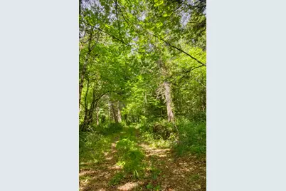 456 Garner Road, Cave Junction, OR 97523 - Photo 5
