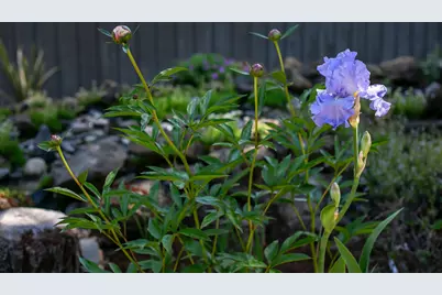 71059 Bracken Lane #GH 91A, Black Butte Ranch, OR 97759 - Photo 39