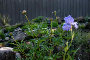 71059 Bracken Ln, Black Butte Ranch, OR 97759 - Photo 39