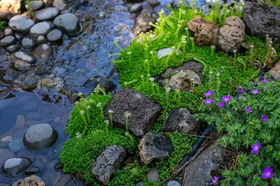 71059 Bracken Lane #GH 91A, Black Butte Ranch, OR 97759 - Photo 41