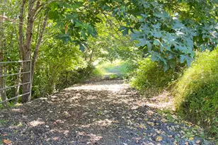 2157 Ferguson Ln, Days Creek, OR 97429 - Photo 35