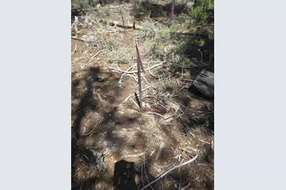52225 Lechner Lane, La Pine, OR 97739 - Photo 17
