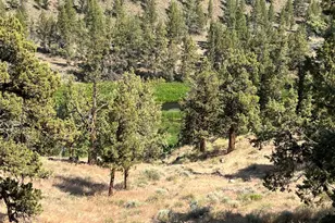 1974 Redtail Hawk Dr, Redmond, OR 97756 - Photo 7