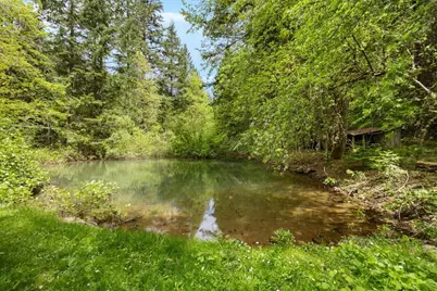 2128 Starveout Creek Road, Azalea, OR 97410 - Photo 25