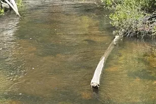 11617 Chinquapin Dr, Crescent Lake, OR 97733 - Photo 21