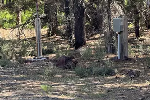 11617 Chinquapin Dr, Crescent Lake, OR 97733 - Photo 5